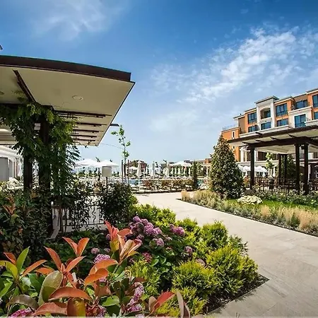 On The * سفيتي فلاس